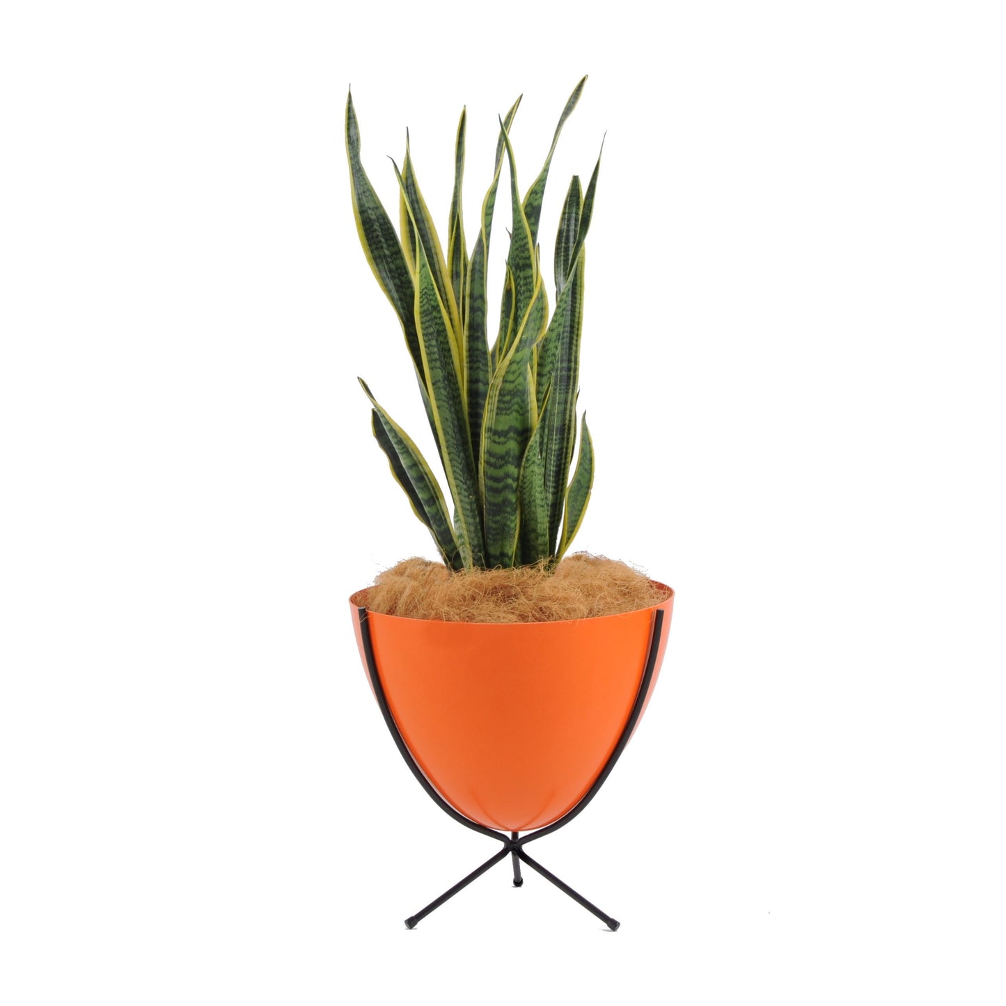 Retro Bullet Planter by Hip Haven™ – Short
