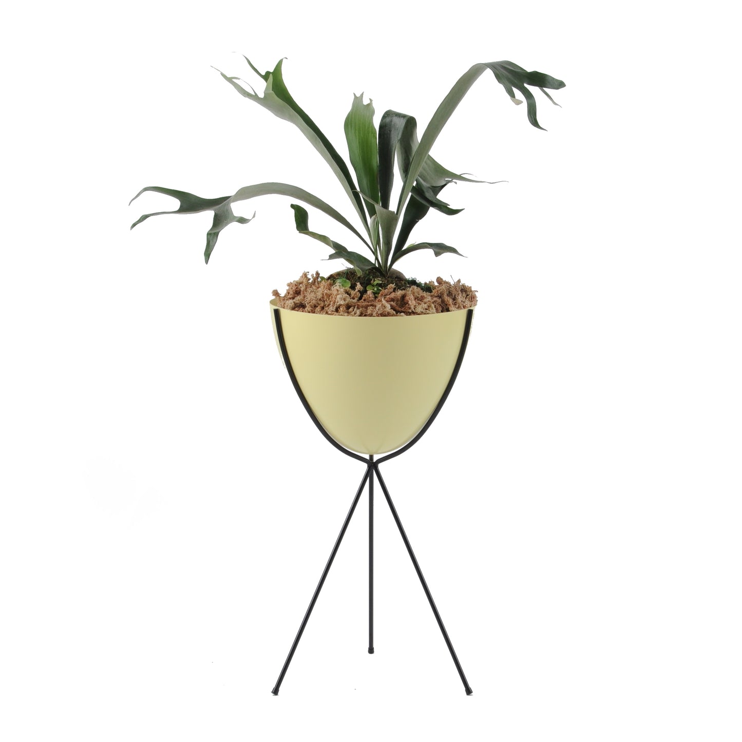 Retro Bullet Planter by Hip Haven™ – Tall